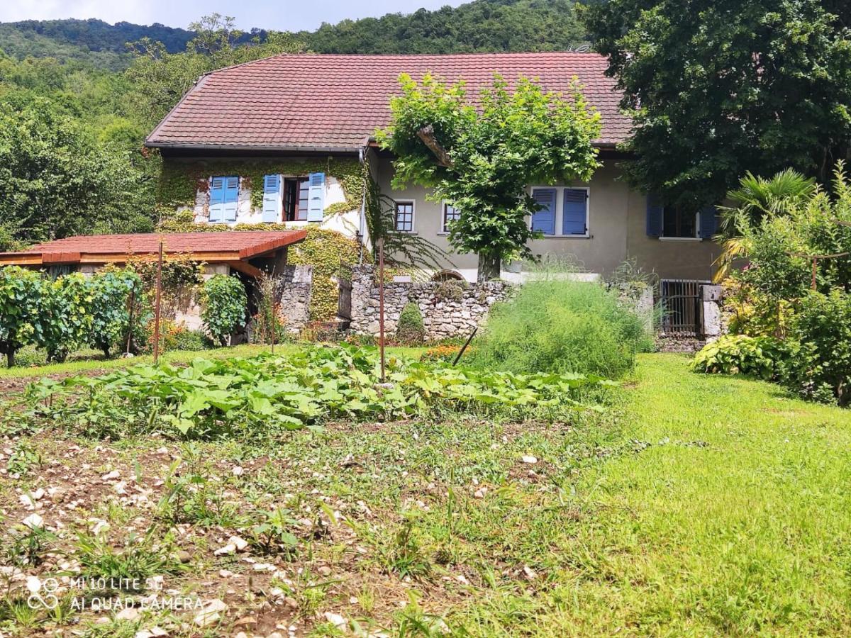 Du Vent Dans Les Arbres -120M2 Belle Vue Sur Le Lac Chindrieux 外观 照片