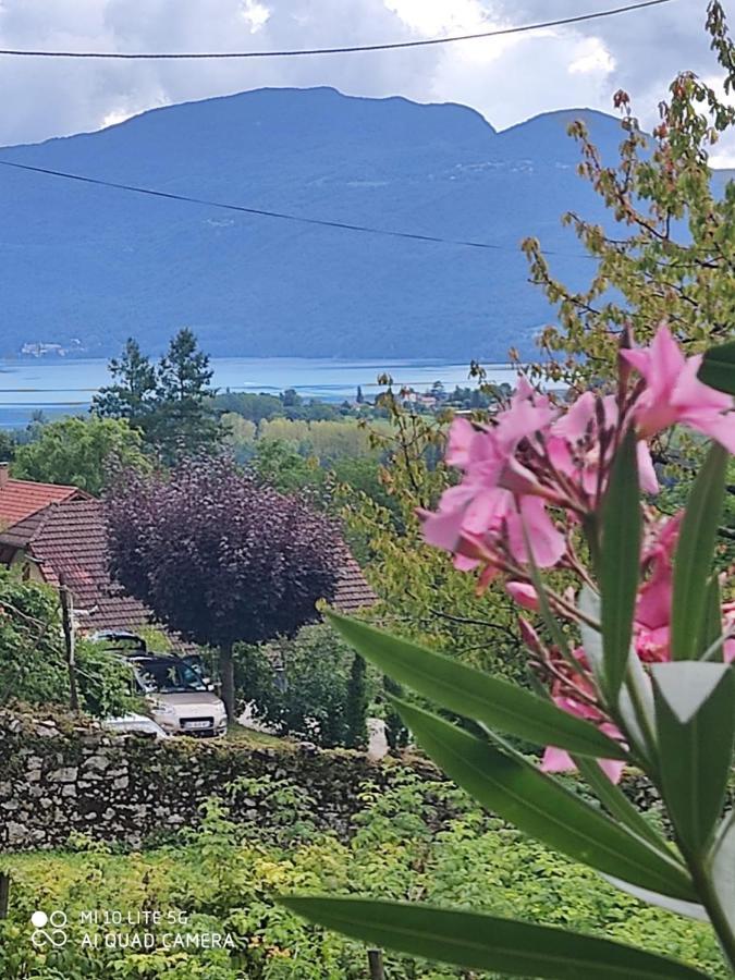 Du Vent Dans Les Arbres -120M2 Belle Vue Sur Le Lac Chindrieux 外观 照片