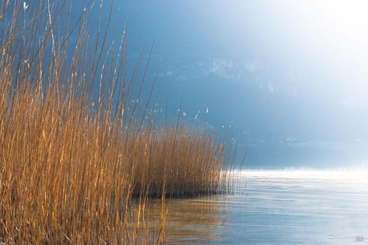 Du Vent Dans Les Arbres -120M2 Belle Vue Sur Le Lac Chindrieux 外观 照片
