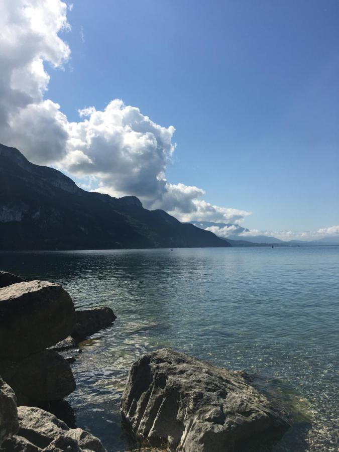Du Vent Dans Les Arbres -120M2 Belle Vue Sur Le Lac Chindrieux 外观 照片