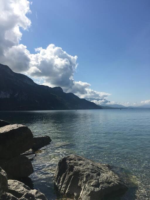 Du Vent Dans Les Arbres -120M2 Belle Vue Sur Le Lac Chindrieux 外观 照片