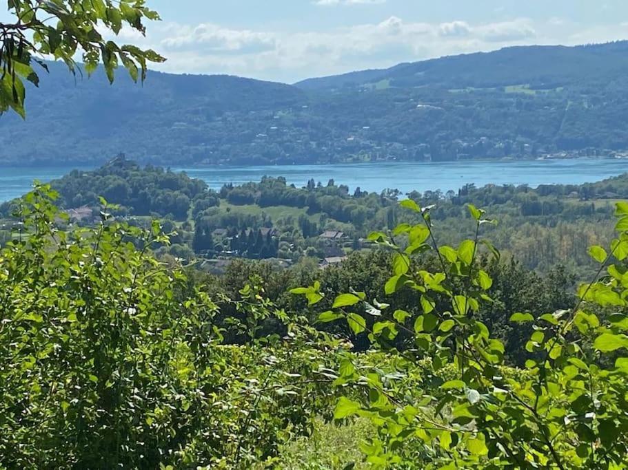 Du Vent Dans Les Arbres -120M2 Belle Vue Sur Le Lac Chindrieux 外观 照片